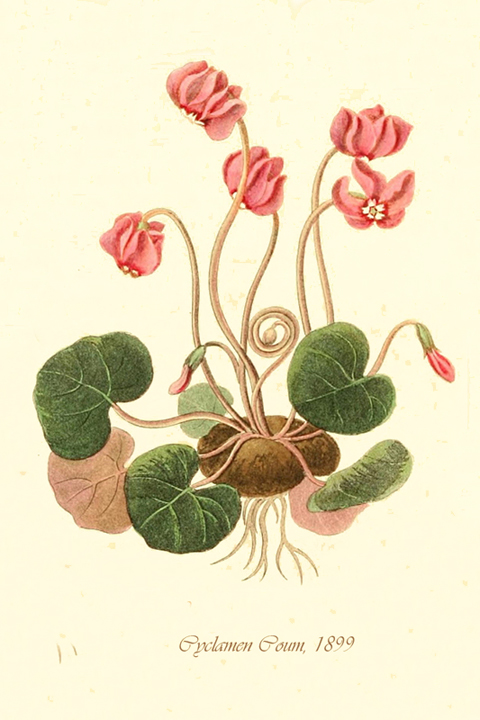 Fascikla 6, list 9