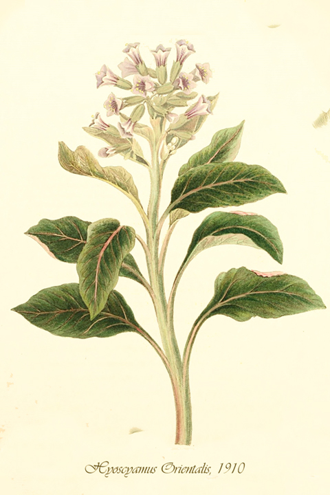 Fascikla 6, list 10