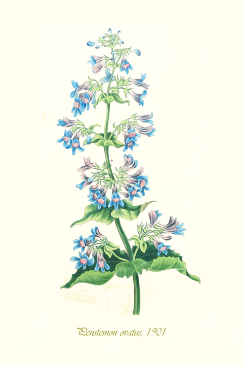 Fascikla 8, list 5