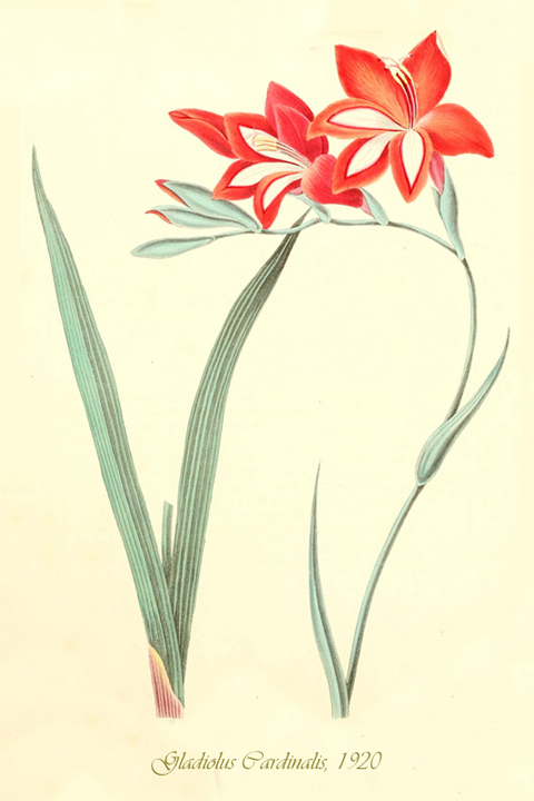Fascikla 9, list 10