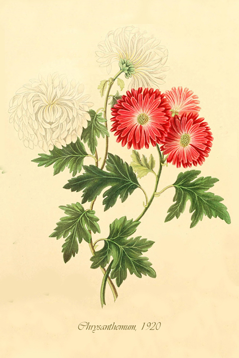 Fascikla 10, list 5