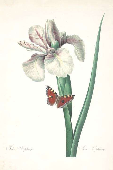 Fascikla 3, list 9