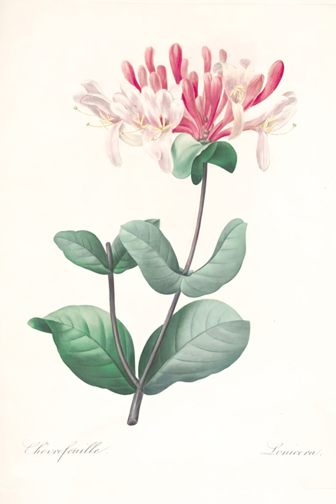 Fascikla 4, list 5