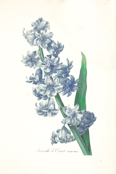 Fascikla 4, list 10