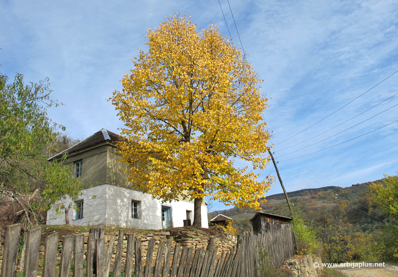 Jesen u selu Caparić, Ljubovija (novembar 2012)